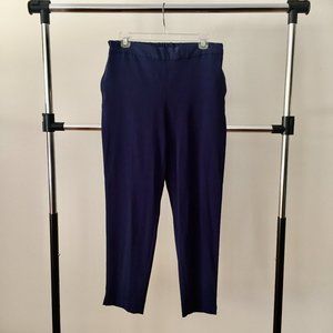 Banana Republic Slacks in Navy Blue